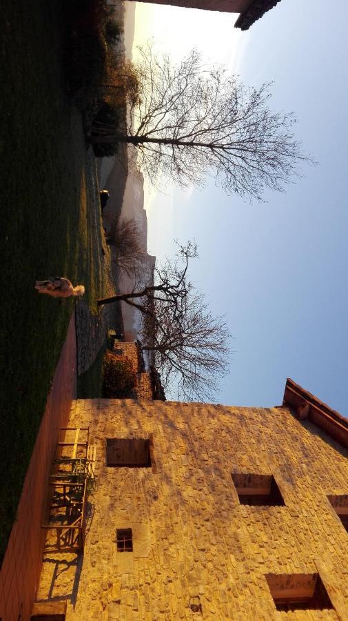 Zelaikoetxe Villa Ozeka Exterior photo